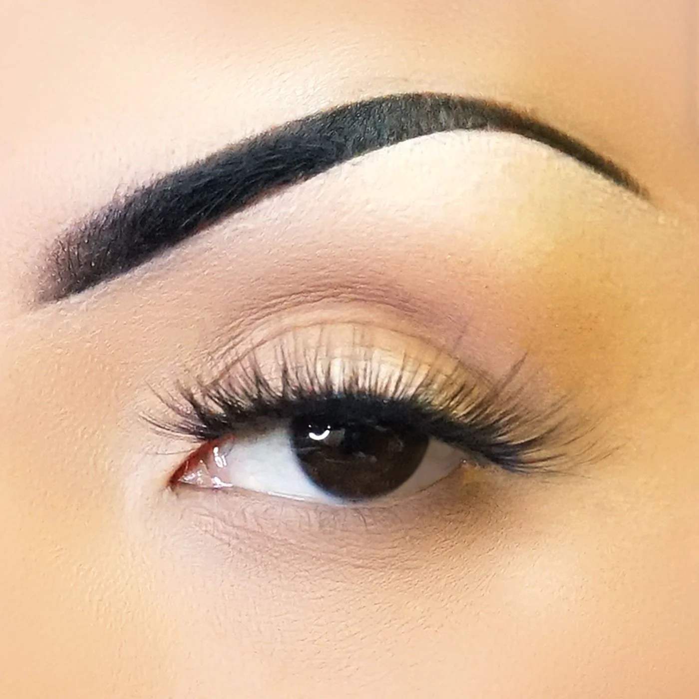Fabulashes 3D Faux Mink False Eyelashes Style A61 - Image 3