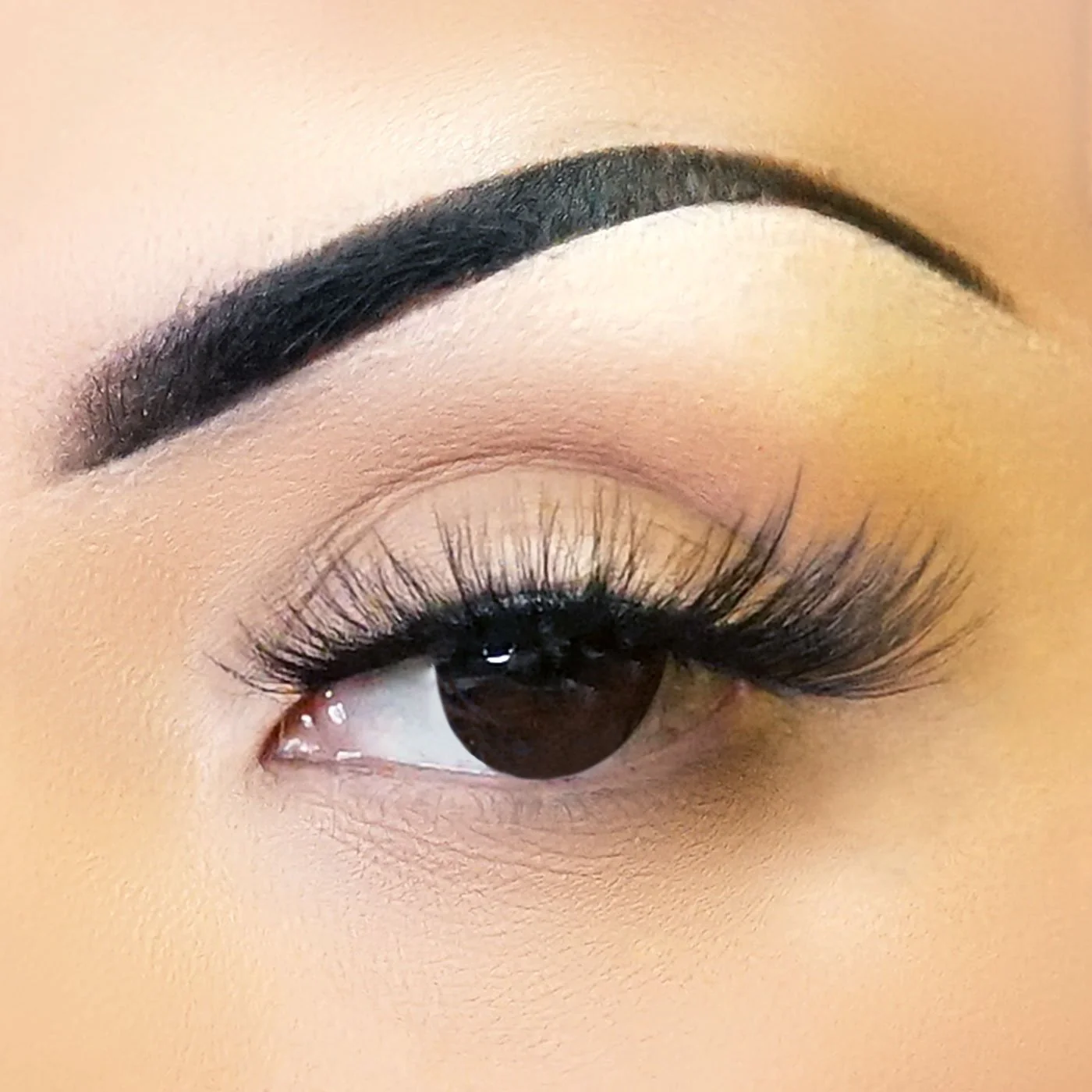 Fabulashes 3D Faux Mink False Eyelashes Style A16 - Image 3