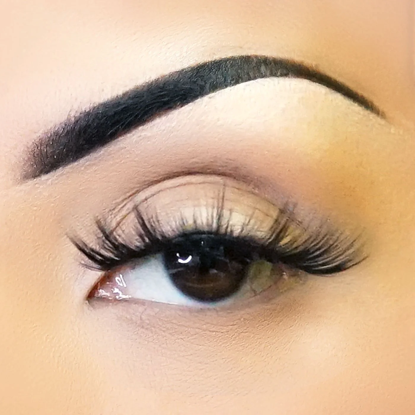 Fabulashes 3D Faux Mink False Eyelashes Style A68 - Image 3