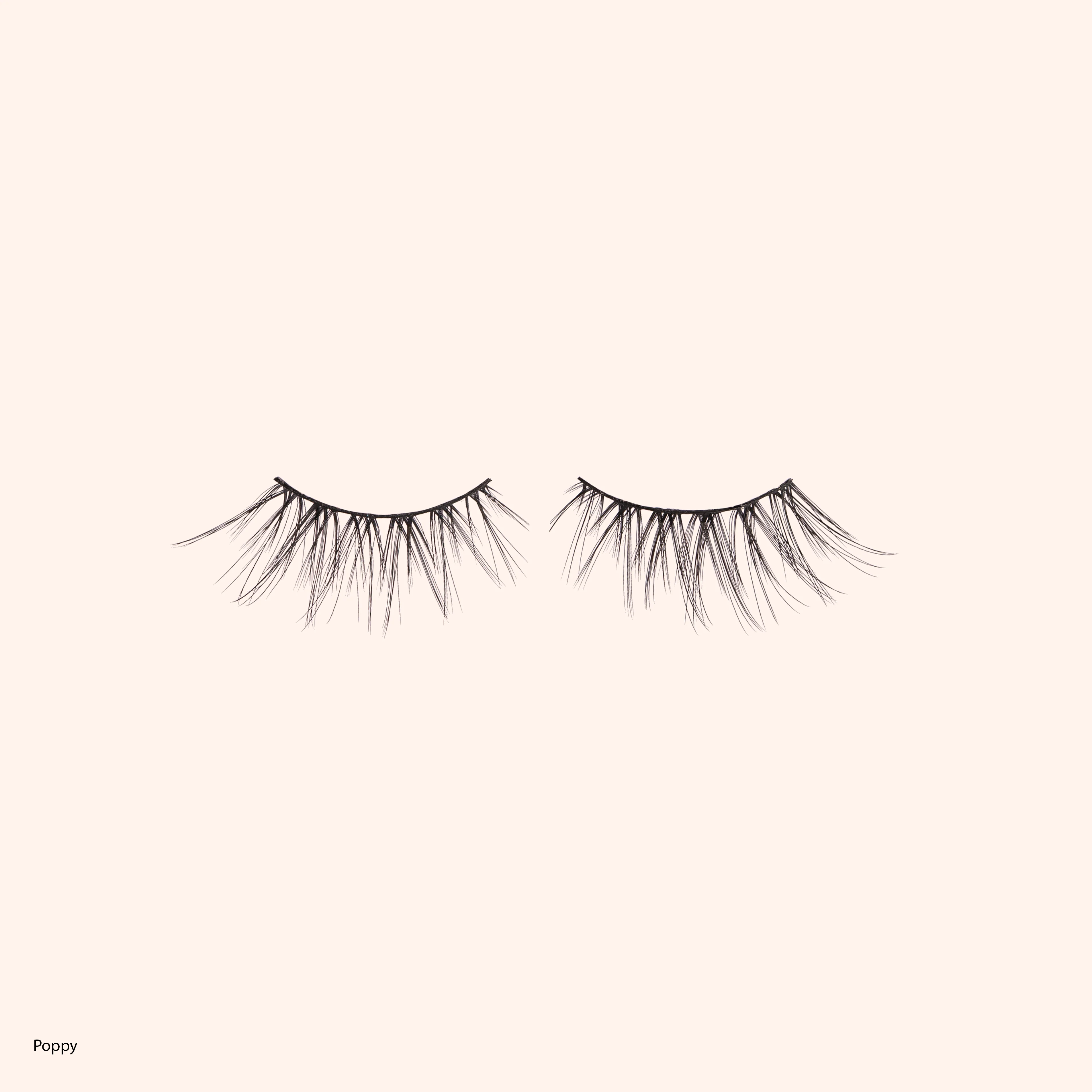 Happily Ever After Lashes - Fairytale Collection (Includes all 5) - Image 9